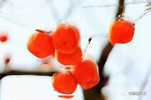 白里透红美颜,白里透红娇颜