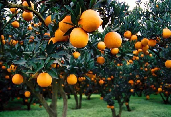 深圳高铁能到的旅游城市,深圳高铁1小时到的风景区