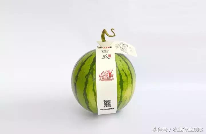 创业小项目展板,创业小项目设计方案