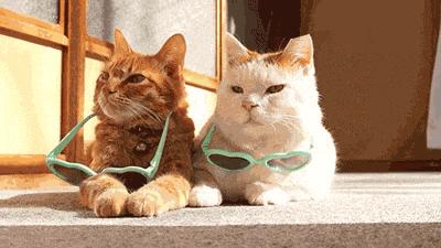 夜间肌肤保养小妙招,晚间护肤怎么保养肌肤