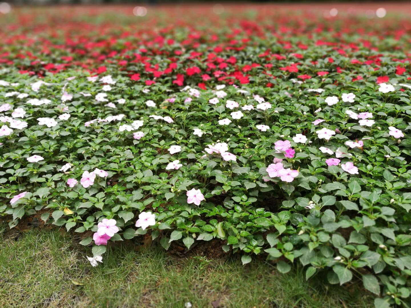 你，是作恶的帮凶么？