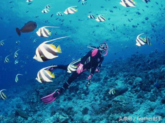 北京海洋馆和上海海昌海洋馆,北京海洋馆中华鲟馆