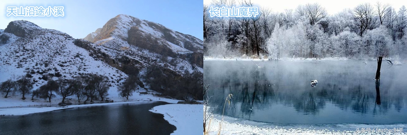 长白山天池人参鹿肉干,天山大盘鸡长春