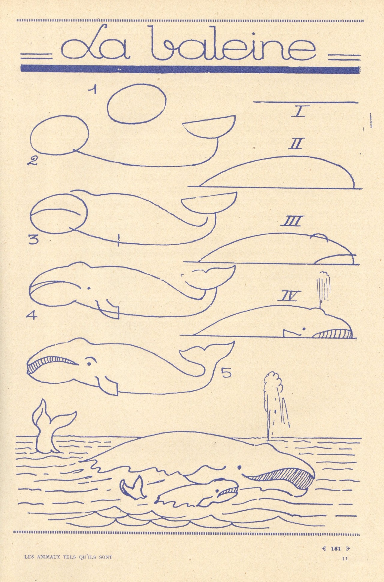 100个超简单的简笔画,2000个超详细简笔画教程