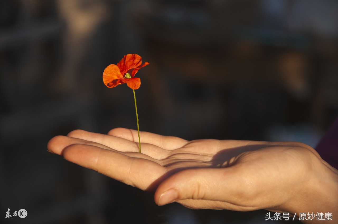 心脏起搏器没电了怎么处理,心脏起搏器不正常会有什么反应