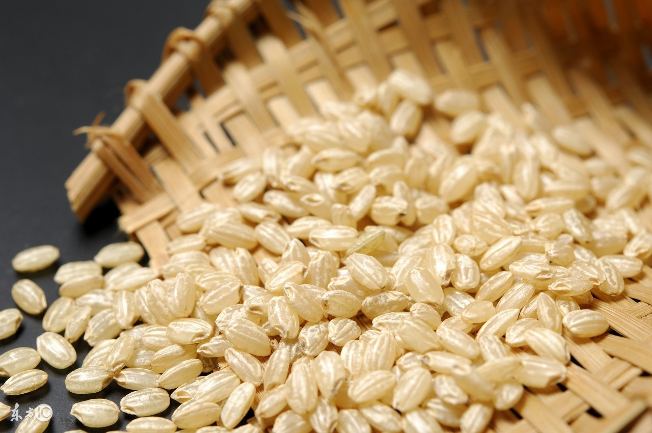 钓友公认最好用的酒米配方,泡酒米钓鱼正确方法