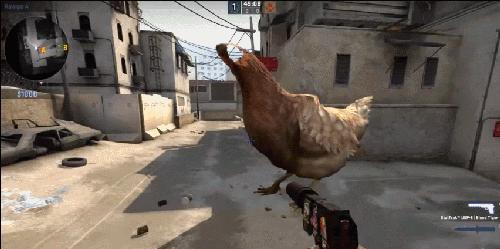 csgo最令人崩溃的鸡,csgo进入瓶颈期谁都打不过
