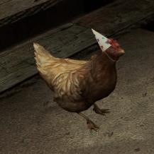 csgo最令人崩溃的鸡,csgo进入瓶颈期谁都打不过