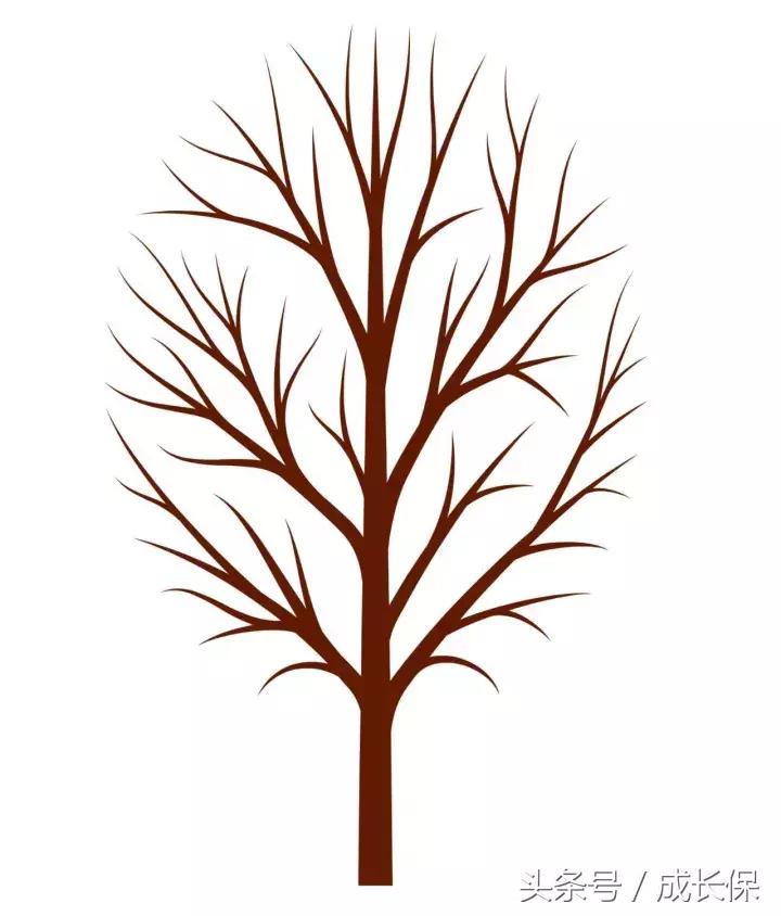 9岁儿童生日派对怎么安排,给孩子办6岁生日派对