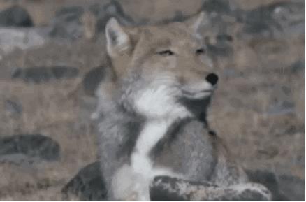 评测24款保鲜膜11款“有毒”,快看看你家的中招没?