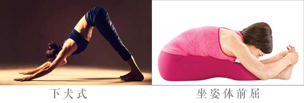 腰果直播教学视频,腰果直播如何讲解