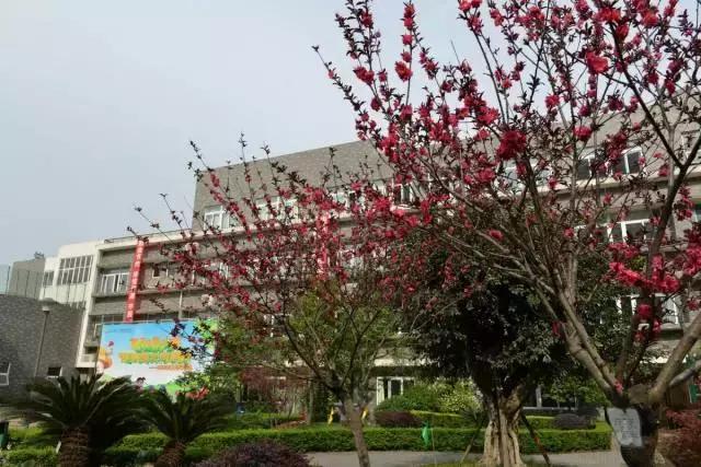 大源片区潜力,成都大源房价洼地