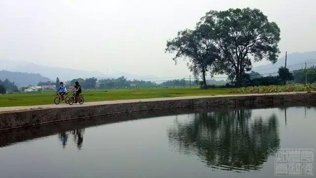 清远清新文明村,清远市文明村