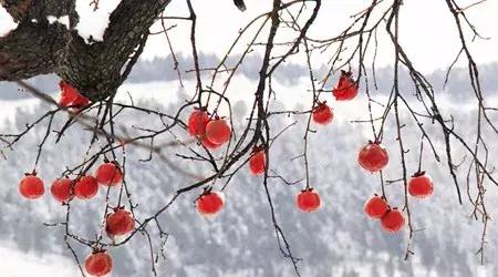 七年级上册英语unit9必考点归纳,七年级上册unit7知识点总结