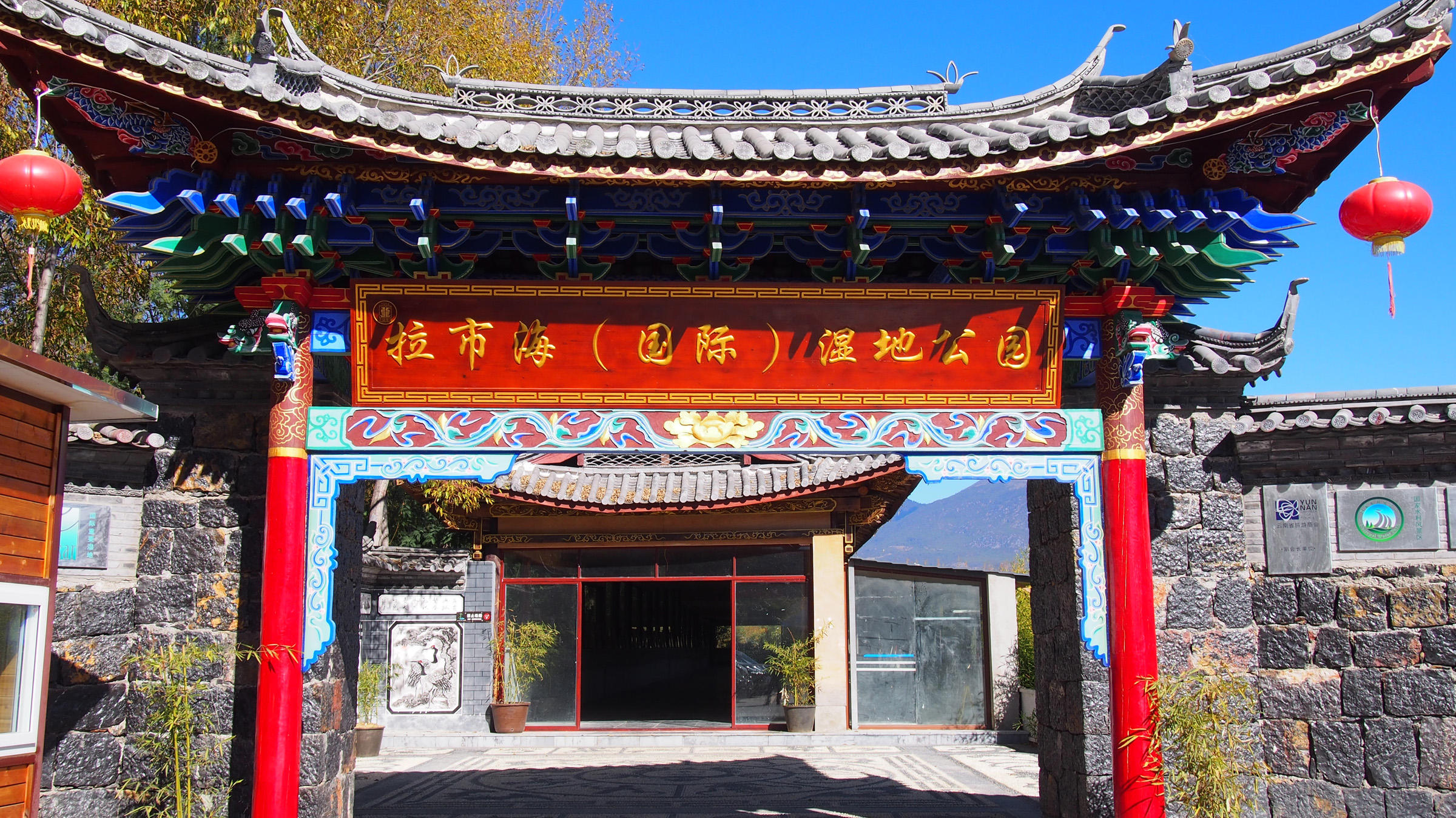 水至清则无鱼游泳,水至清则无鱼但是还是有很多鱼