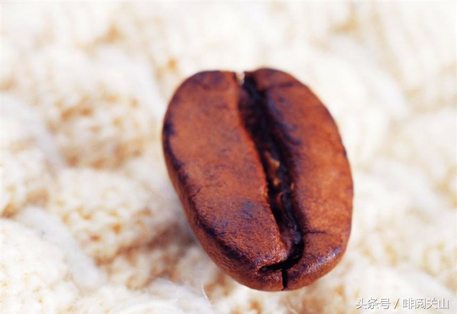 巴西山度士咖啡,巴西的咖啡品牌