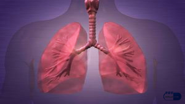 患支气管炎会咳吐吗,支气管炎会诱发什么病