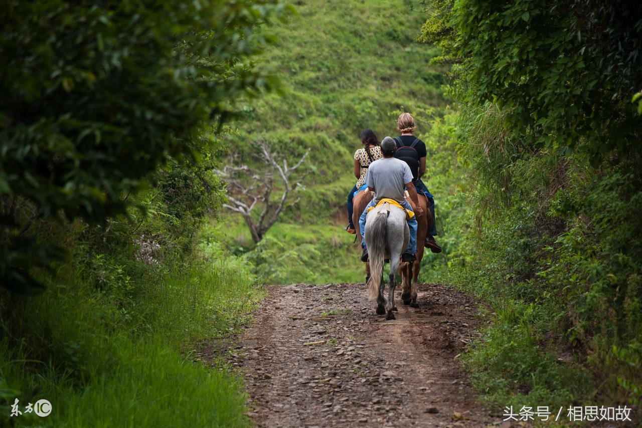 农村投资创业好项目,农村残疾人创业项目