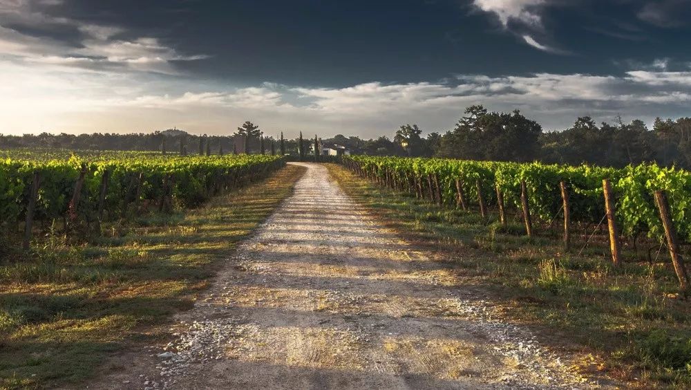 梅斯:托斯卡纳的郊野,有美妙时光