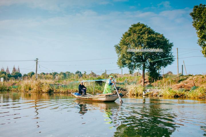 吃蟹游玩攻略,一场关于上海的旅行