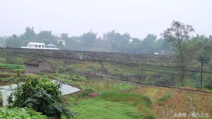 南溪长兴赶场,南溪区南溪镇赶集视频