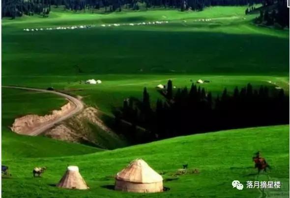 行走在呼伦贝尔大草原视频 (行走在呼伦贝尔纪录片)