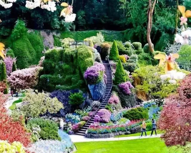 我的相册视频,十寸相册