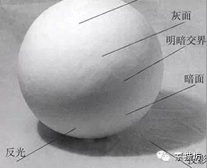 理解素描明暗交界,素描理解转折