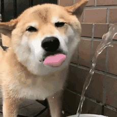 6个月婴儿手上长倒刺涂什么,宝宝手上起倒刺手指头起皮