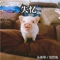 和双子座吵架分手如何解决,跟双子座分手怎么和好