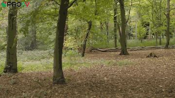 fs7和eva1,fs7和eva1哪个好