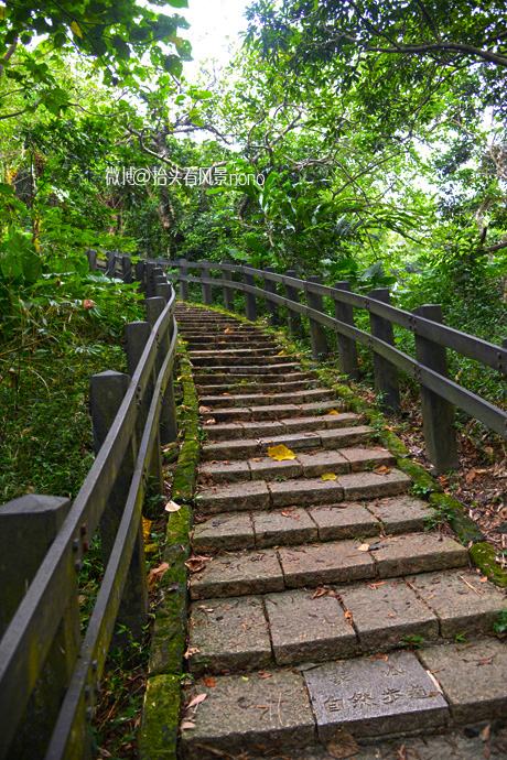在台北101大楼看台北全景,在台北101大楼顶层看视频