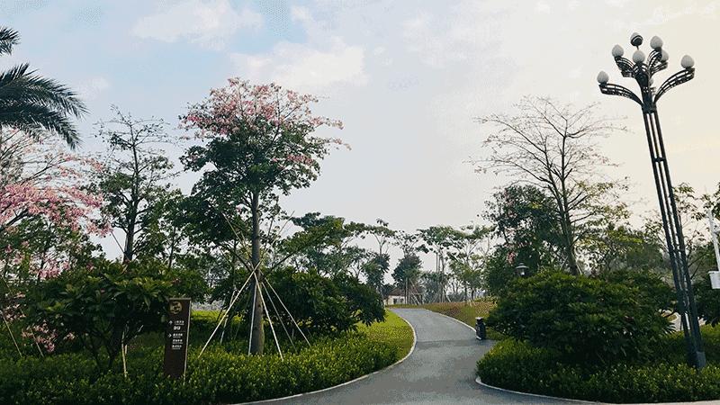 角度|宝安这些地方，能让你一秒爱上跑步！