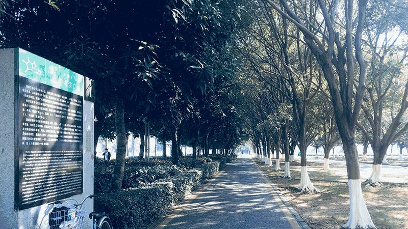 角度|宝安这些地方，能让你一秒爱上跑步！