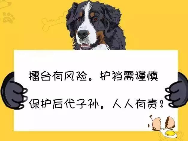 被踢裆等于十头大象踩脚？敖日格勒王冠告诉你蛋碎到底有多痛？