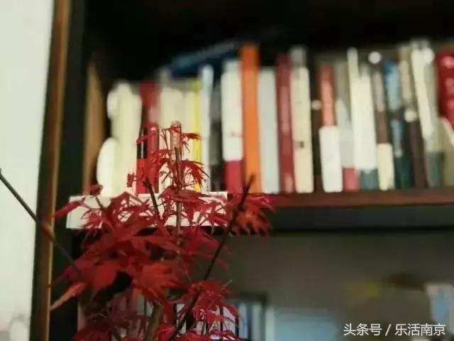 南京文艺小情调的地方,南京比较有小资情调地方