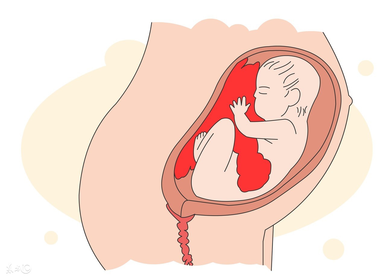 看胎心率辨别胎儿有科学依据吗,胎心率看胎儿识别方法真的很准吗