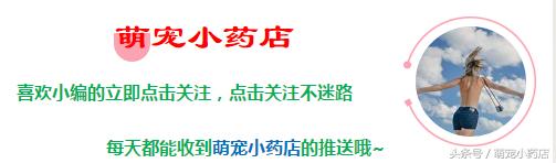 宠物肾衰竭一定要输液吗,宠物医生肾衰竭