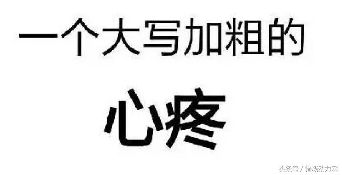 国内的兽医学国外可以留学吗,美国学兽医需要什么条件