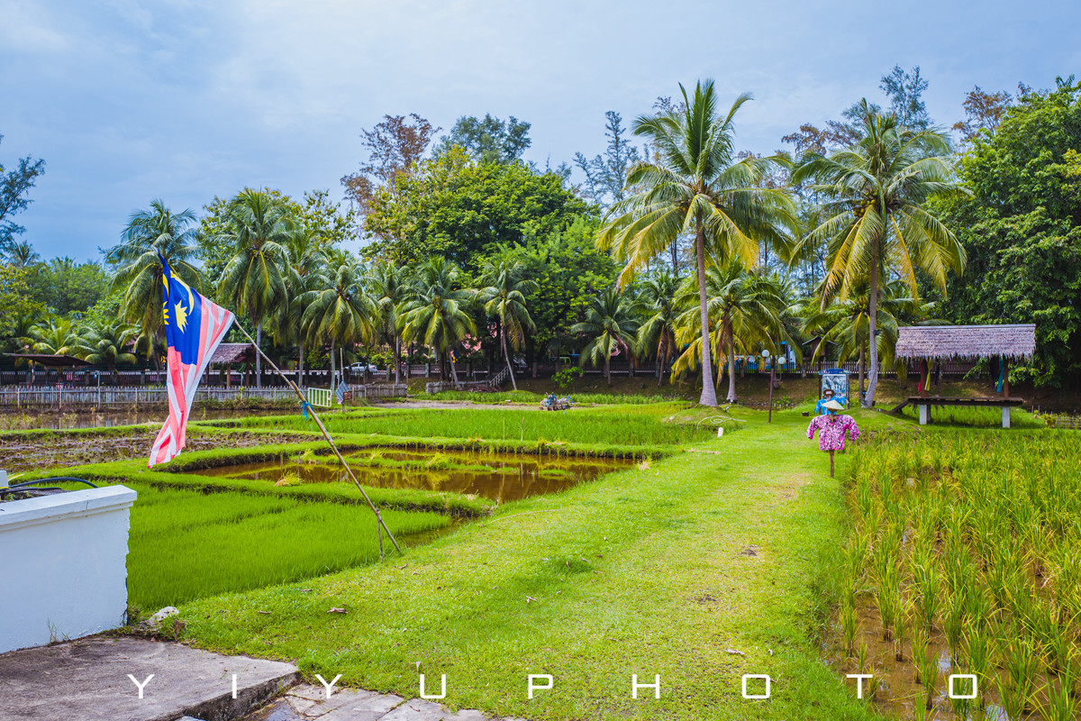 悠游一夏,马来西亚——六日自由行攻略
