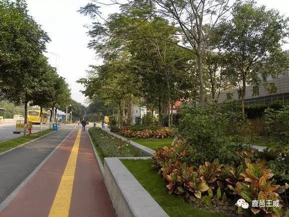 2021鹿邑主城区改造,鹿邑最新城建规划