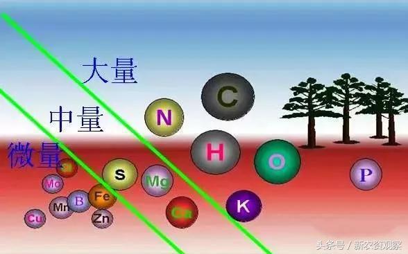 土壤盐害的表现有哪些特点,土壤盐害的危害
