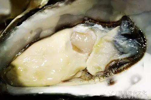 生蚝知识全攻略,蚝门盛宴99块100个生蚝