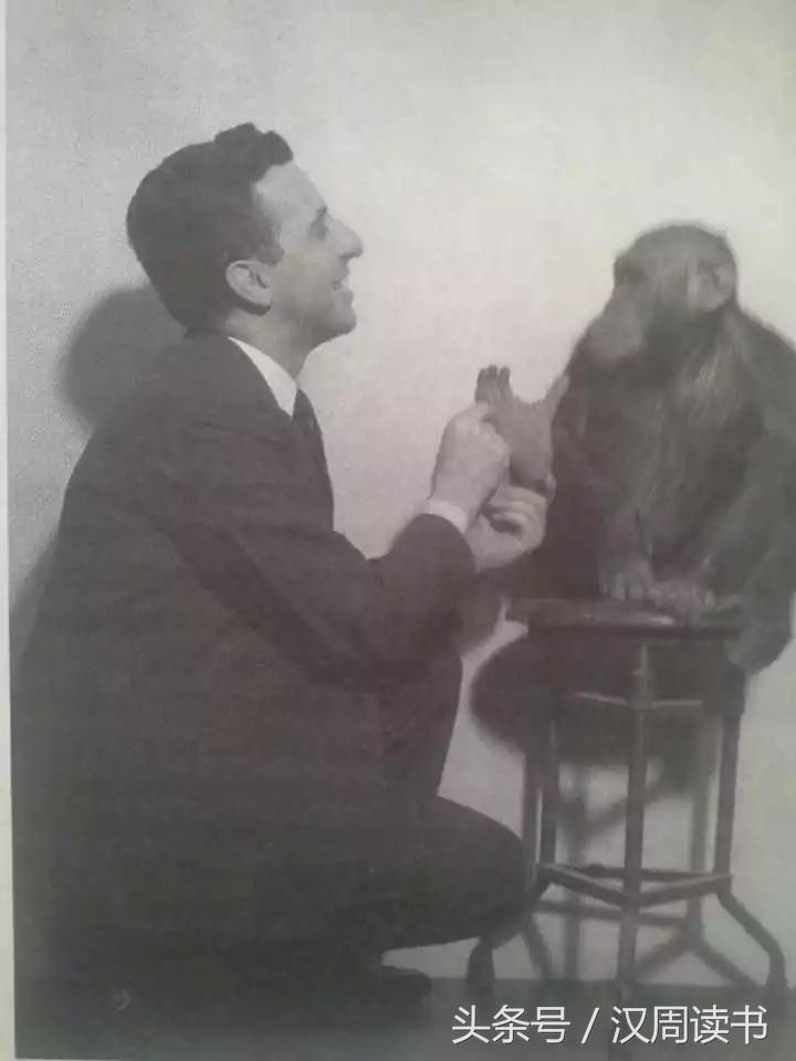 他用一根长钉从眼眶锤入那个人的头颅竟只为了治精神病