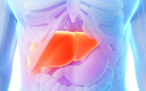 乙肝患者可以服用养肝护肝药吗,乙肝患者如何养肝护肝