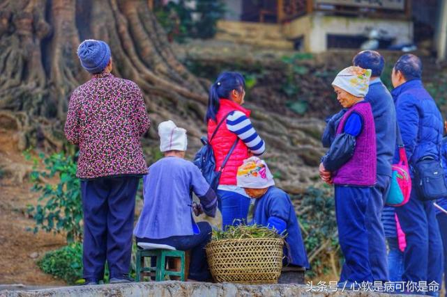 坝美世外桃源简介,坝美世外桃源旅游怎么样