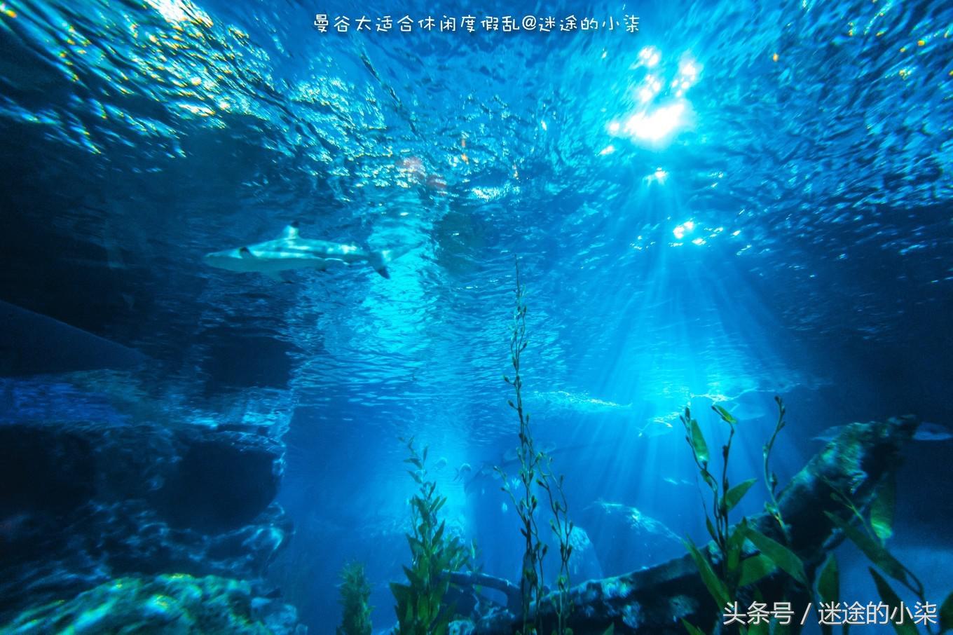 曼谷王权免税店买奢侈品划算吗,曼谷王权免税店怎么买划算