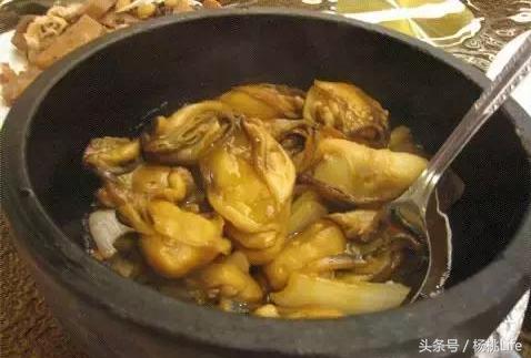 生蚝知识全攻略,蚝门盛宴99块100个生蚝