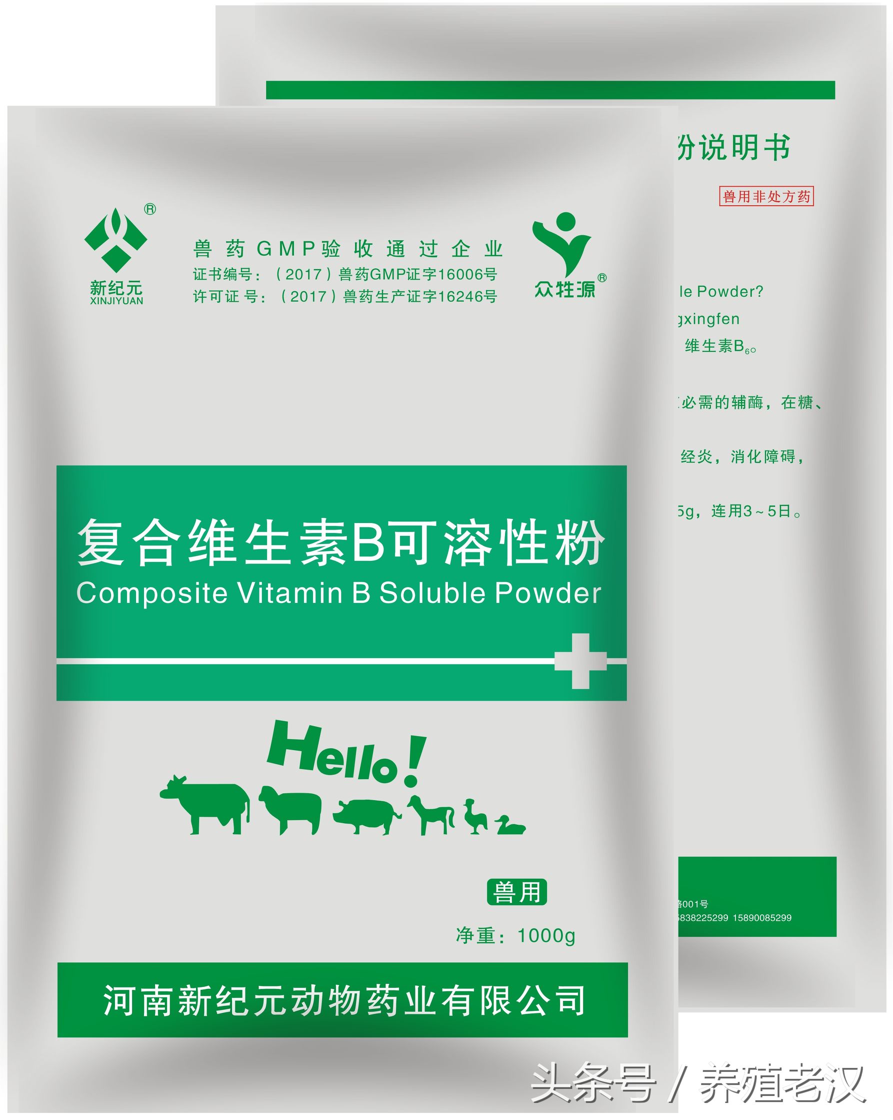 母猪产子如何护理视频,母猪的饲养管理和如何增加产仔数