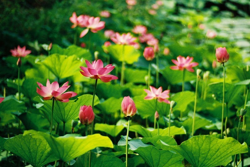 请给我一首歌的时间完整版,请给我一首歌的时间韩文